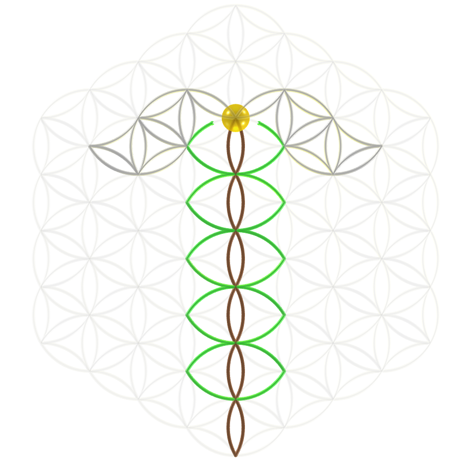 Flower of life with the Caduceus symbol