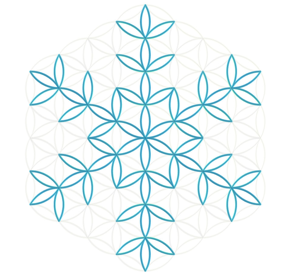 Flower of life with the snowflake symbol