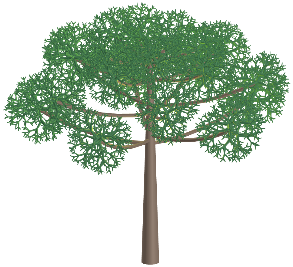 Araucaria Fractal