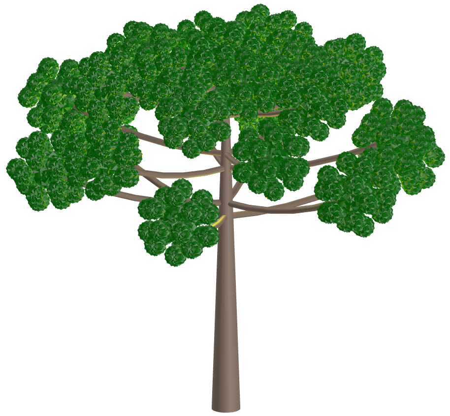 Araucaria with Great Pentagonal Hexecontahedron