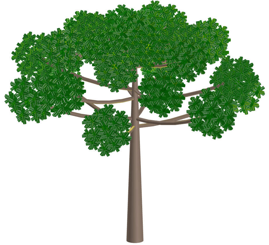 Araucaria with Great Dodecahemidodecacron