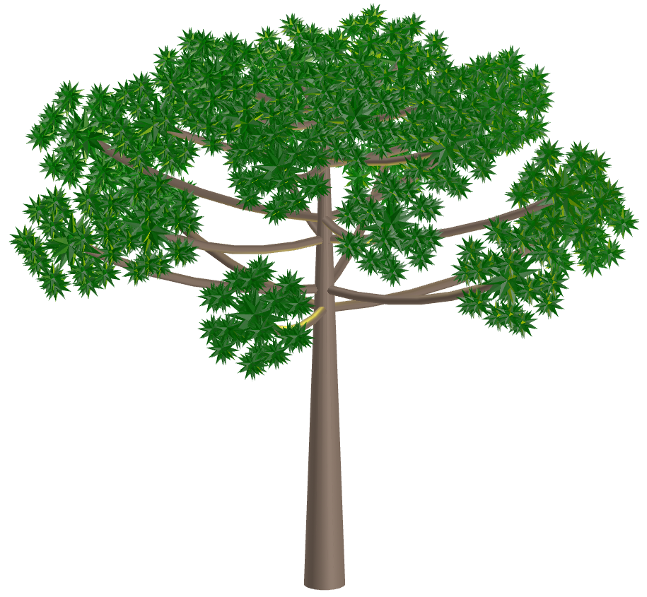 Araucaria with Great Rhombidodecacron