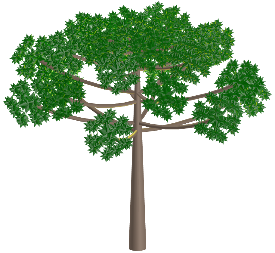 Araucaria with Great Stellapentakis Dodecahedron