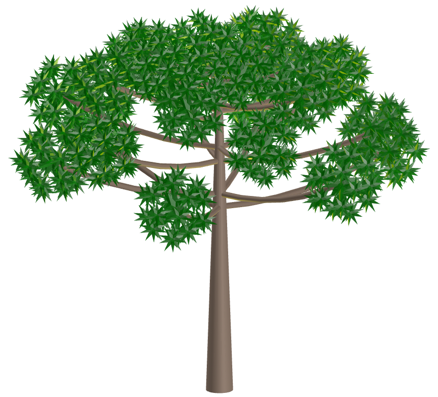 Araucaria with Dodecahedral star kites