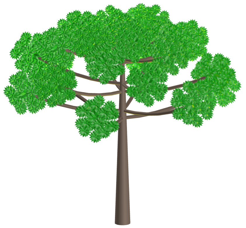 Araucaria with Rhombicosidodecahedral star kites