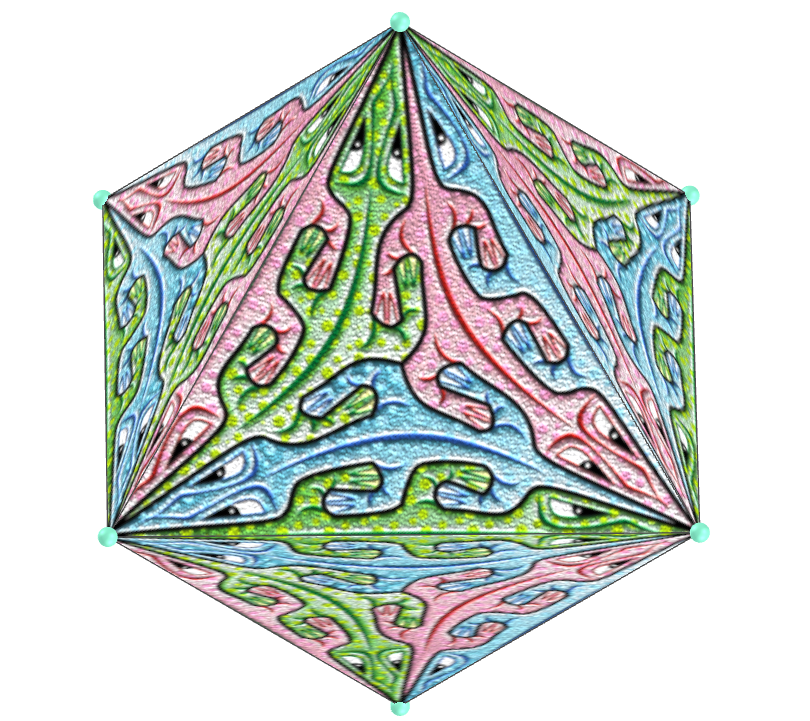 9 narizes de lagartos