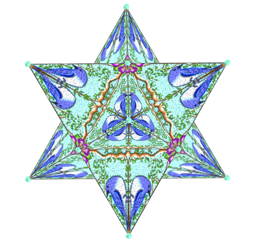 Tesselação de Barb Widen