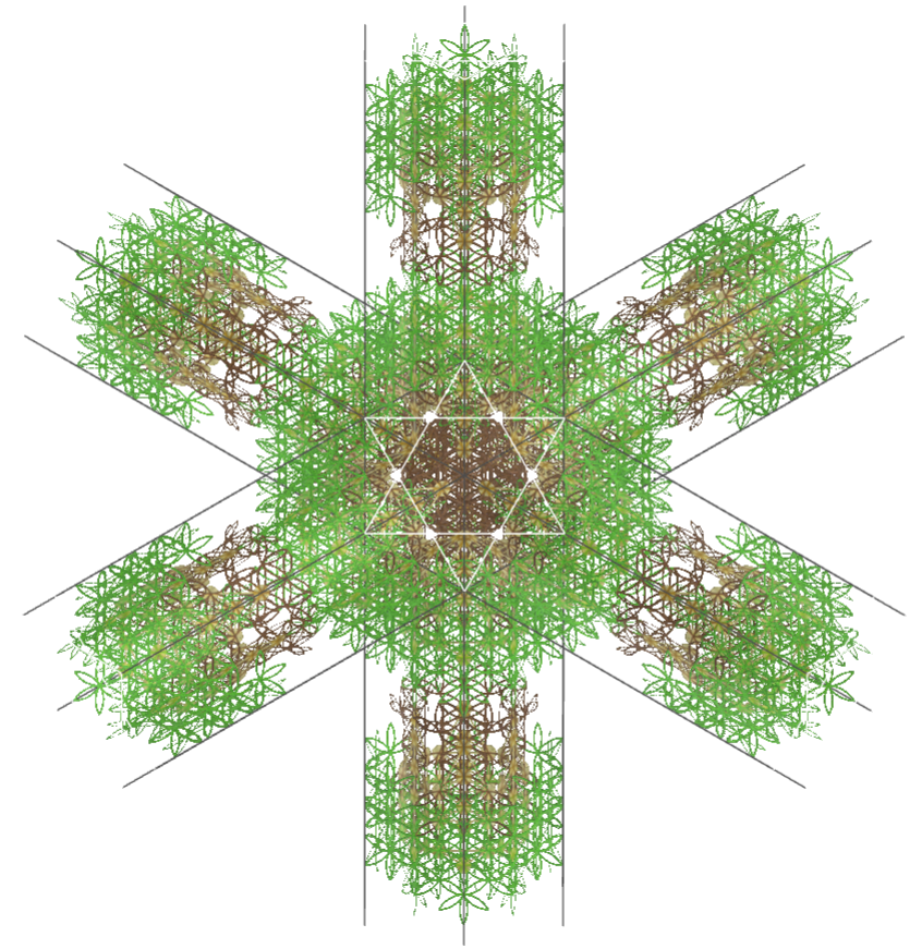 Tree of life